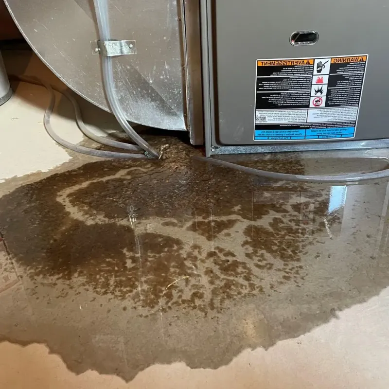 Pipe Burst and Leak Restoration in New Castle, VA