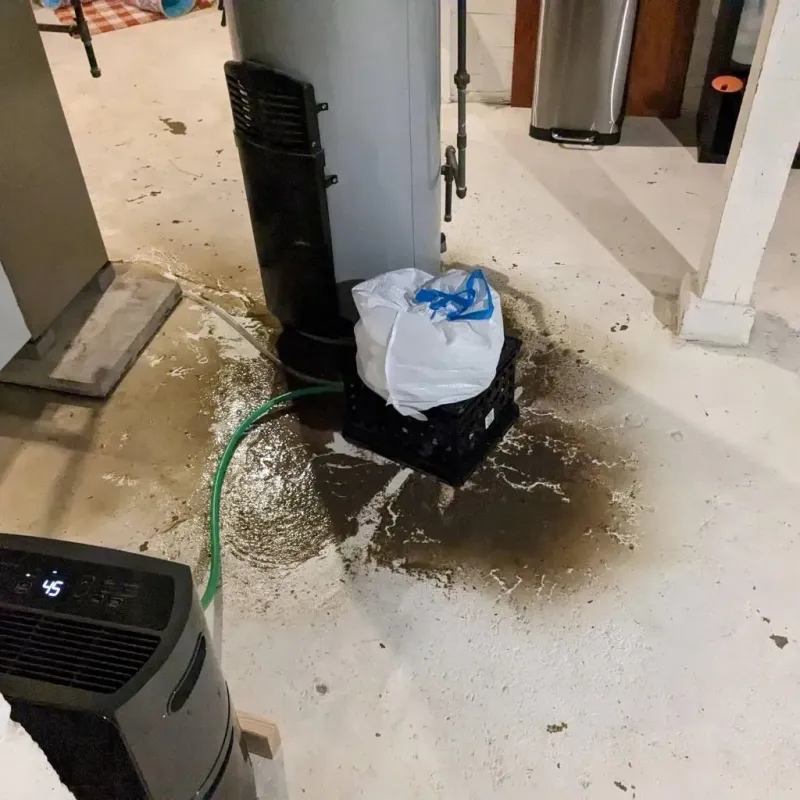 Sewage Backup Cleanup Service in New Castle, VA